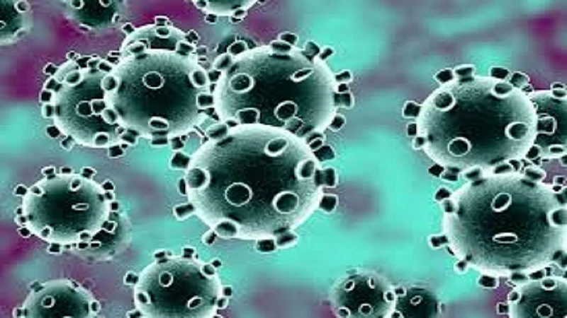 Finally Doctors Home quarantine who came from mosco escaped due to coronavirus