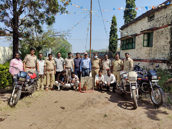 Five arrested in owl smuggling case; Three million price; Chikodi action