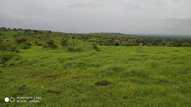Karjat taluka has good rains this year and nature has turned green