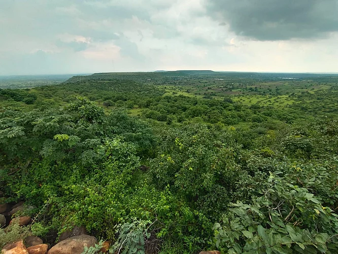 The appearance of Mahabaleshwar came to Gundegaon in Nagar district