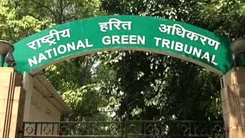 Order to plant trees on Khed Sinnar National Highway