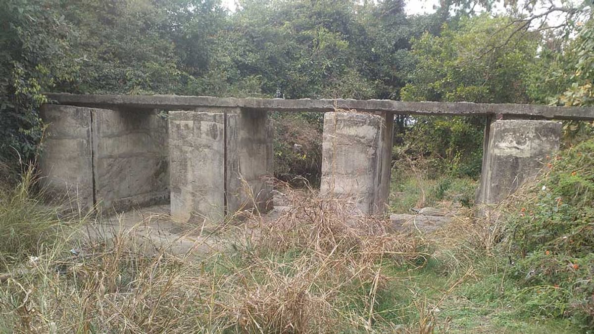 sakal