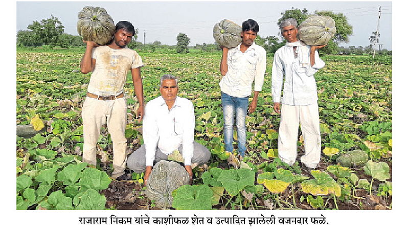 Kashifal