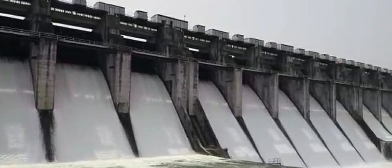 On the way to fill the radish dam, there are so many stocks