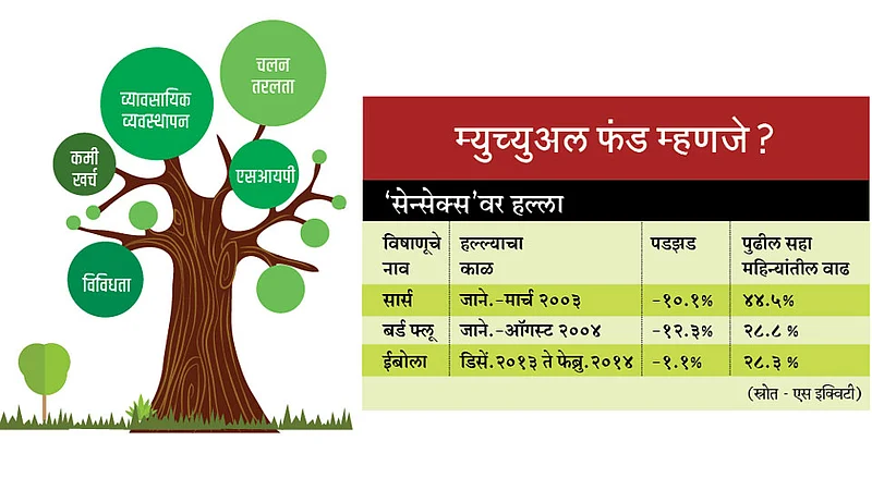 Mutual-Fund