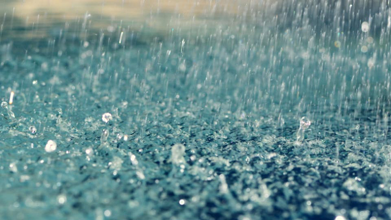 weather update rain forecast heavy rain in Vidarbha