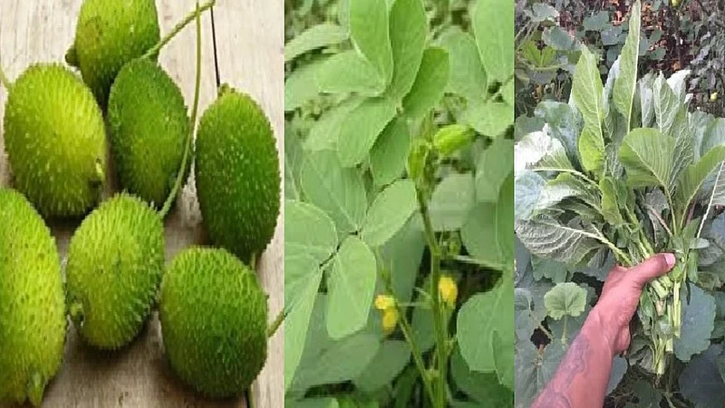 Ranbhaji.jpg
