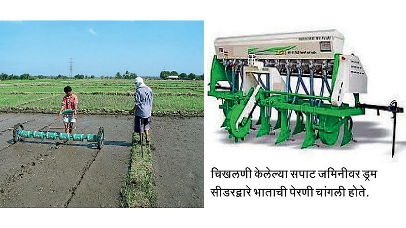 Rice sowing machine
