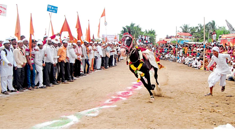 रिंगण सोहळ्यात धावणारे मानाचे अश्व.