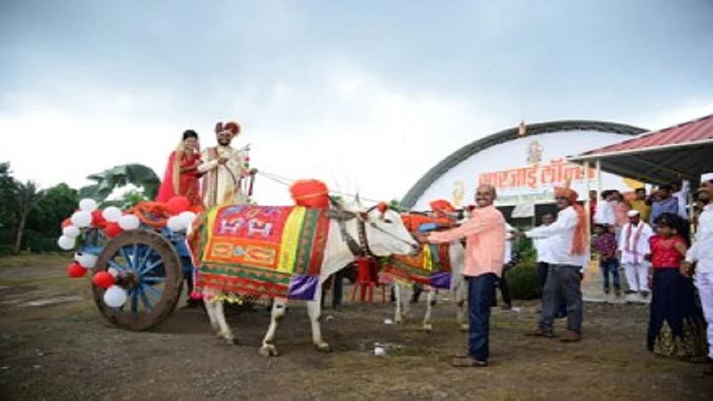 सौंदाणे : बैलगाडीतून वऱ्हाडींसह घरी परतताना योगेश खैरनार व ज्योती खैरनार.