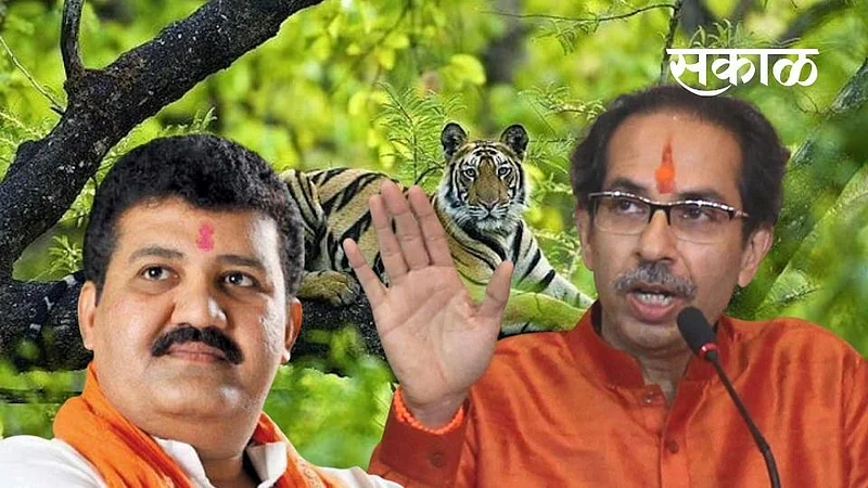 Akola News Sanjay Rathore resignation Sanjay Raimulkar and Gopikishan Bajoria discussed of Minister.}