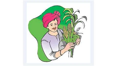 10 FIR for misconduct in PM Kisan Sanman Yojana