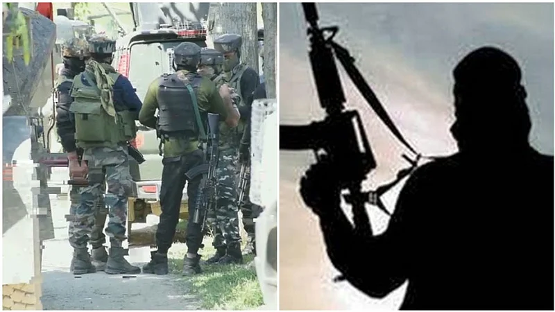 Terrorist