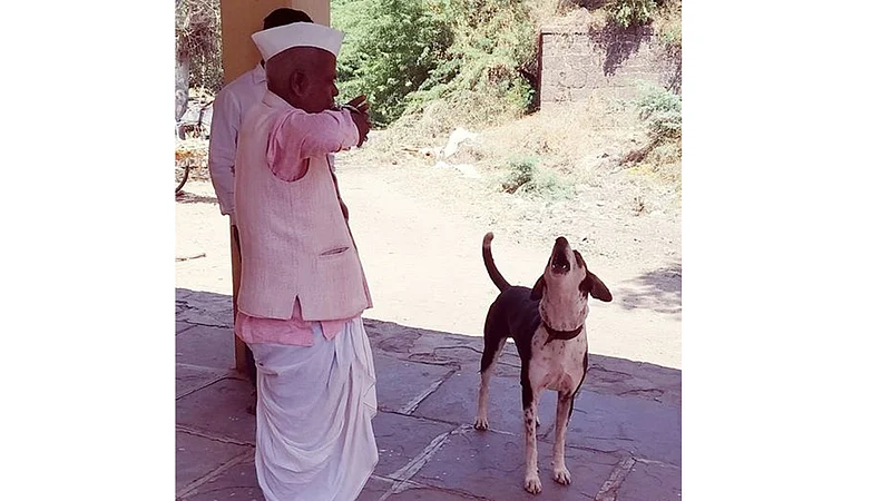 The sound of a conch from a dog in zare village sangli