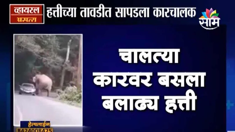 Viral Satya : चालत्या कारवर बसला बलाढ्य हत्ती (Video)
