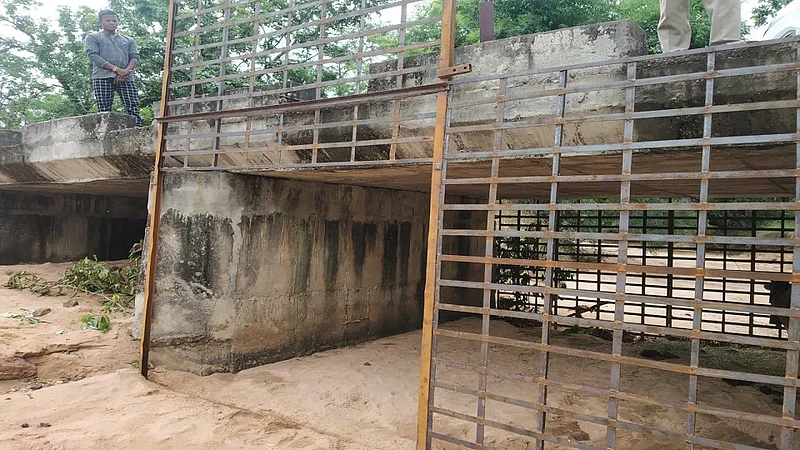Forest department organized cages to catch dangerous tiger