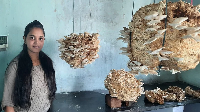 Girl create mashroom farm in home