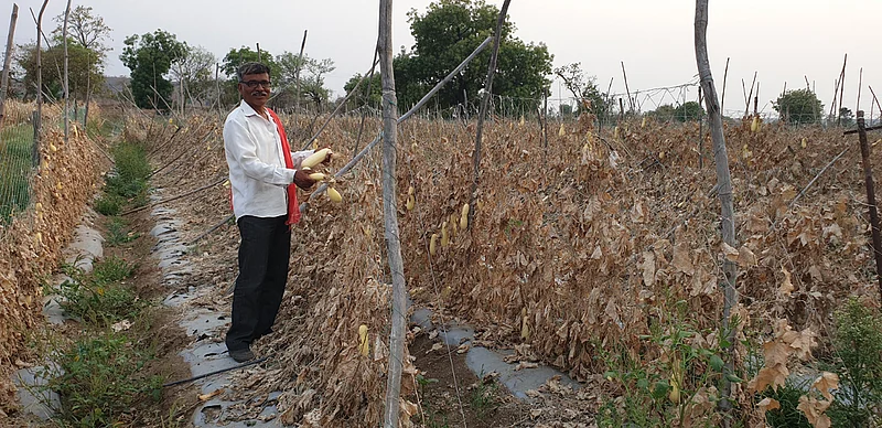 yavatmal farmer