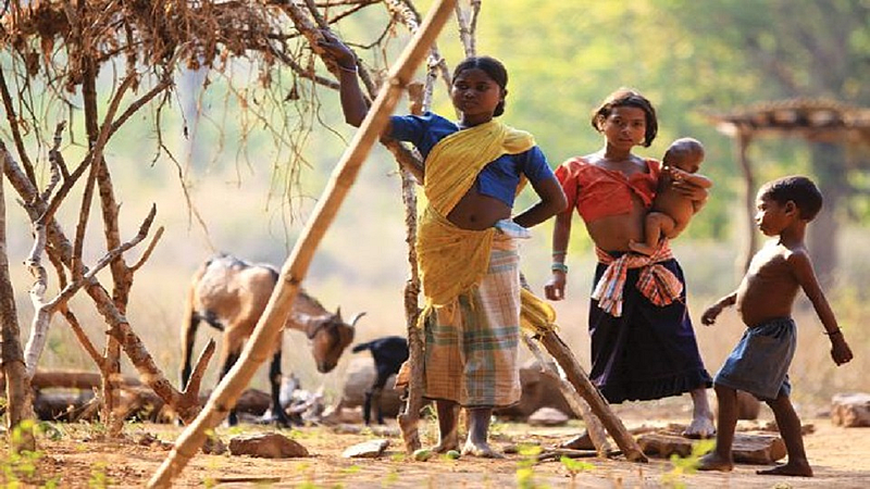 रानभाज्या विक्रीच्या हंगामाला लॉकडॉऊनचा फटका; अदिवासी बांधवांची होतेय उपासमार