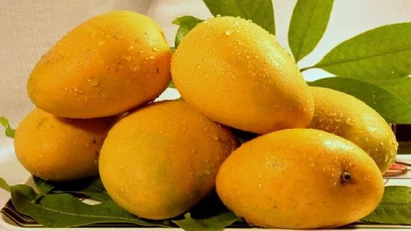 Annapaanvidhi phalvarga