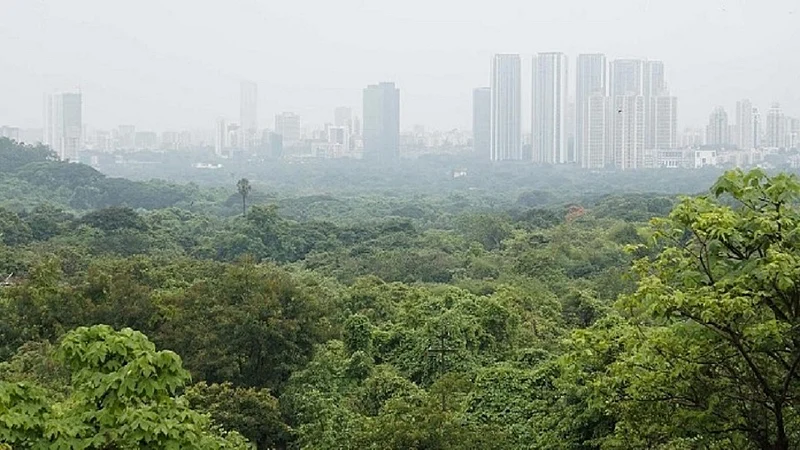 aarey forest.j