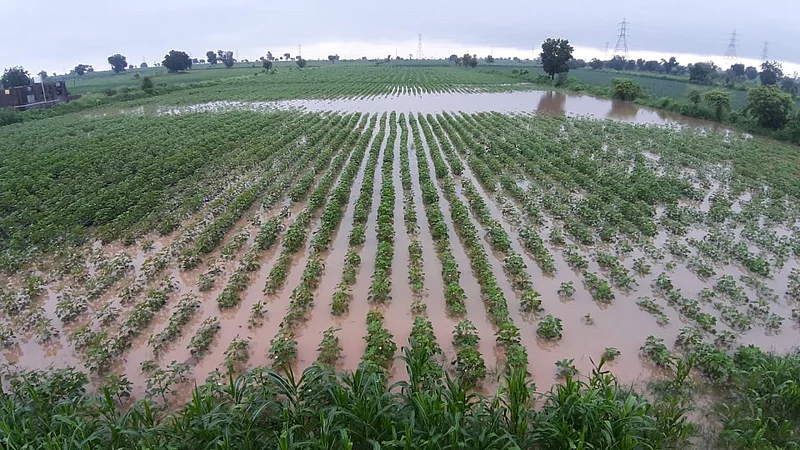 Heavy rains recede in Akola district, clouds remain !, crops submerged; Increased water storage in projects