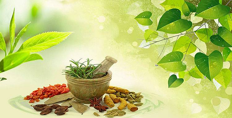 75,000 hectares of medicinal plants will planted in India