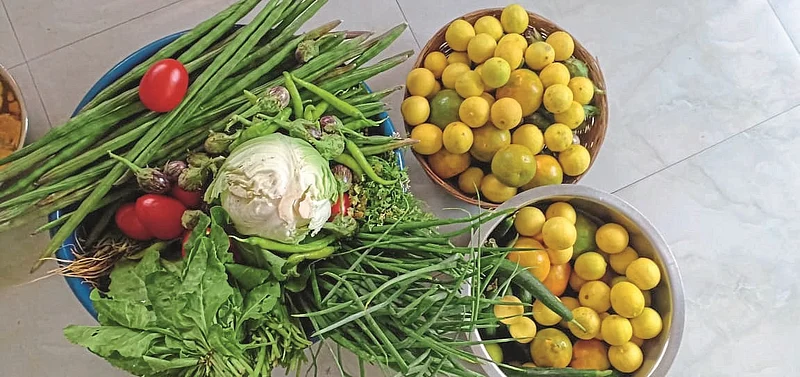 bhajipala