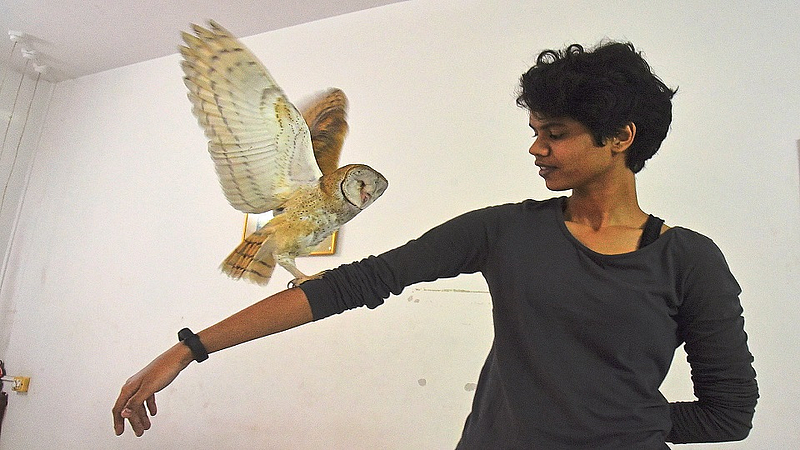 blind owl 1.jpg