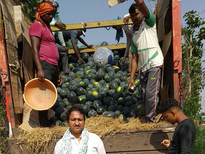 सडक अर्जुनी : पाटणा येथे नेण्यासाठी ट्रकमध्ये टरबूज भरताना मजूर. बाजूला महिला शेतकरी लता डोंगरवार.