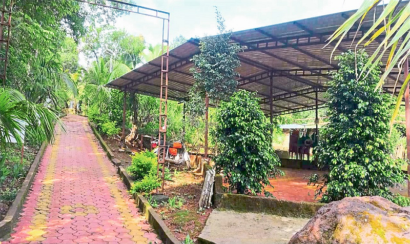 There Is No Wedding Inn In Shri Kshetra Shripadwadi This Year Kolhapur Marathi News