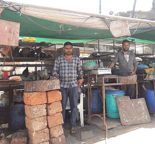 chicken rate increase in dapoli city