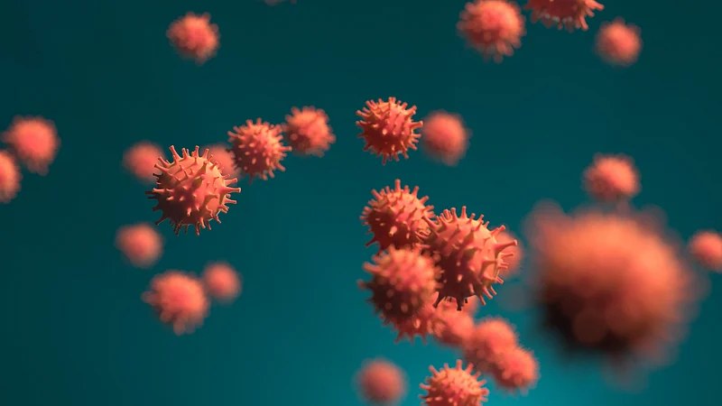 coronavirus update