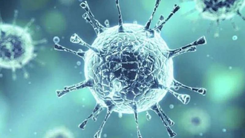 coronavirus: कोरोनासह इतर आजारांनी 78 टक्के रुग्णांचा मृत्यू