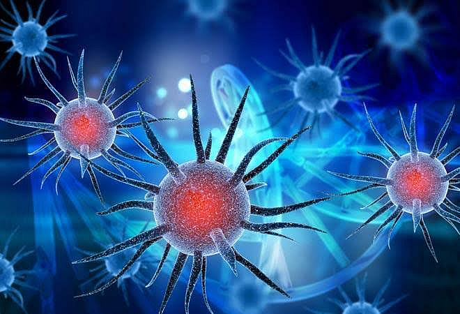 Akola News: Another victim; 17 new positives