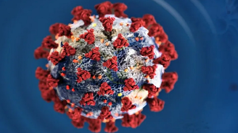 coronavirus maharashtra update total affected patients