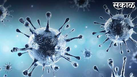 Two new corona patients have been found in Ardhapur taluka