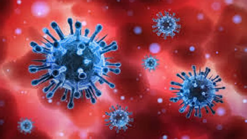 kolhapur district no covid patient found covid 19 marathi news}