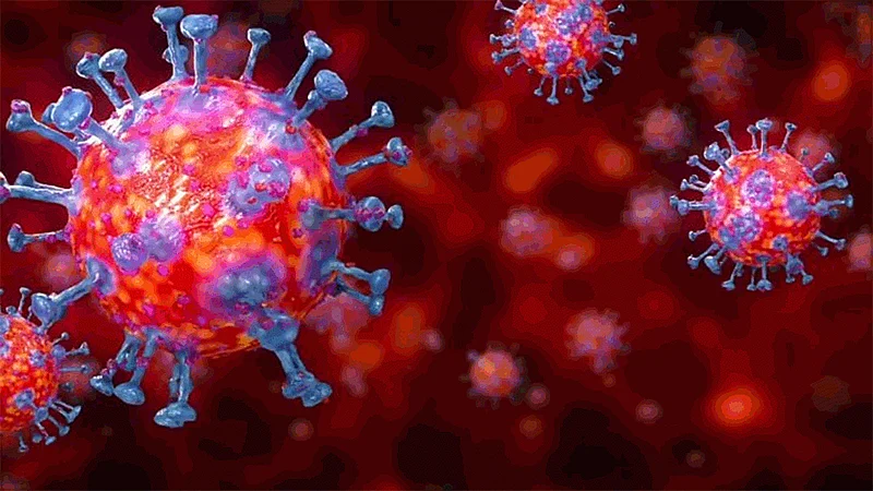 China orders retest of recovered Covid-19 patients intensified screening of asymptomatic cases