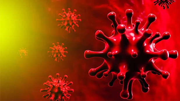coronavirus