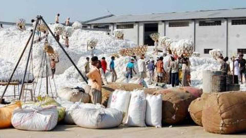 चोपड्यात कापूस ‘कटती’तून शेतकऱ्यांची लूट सुरूच !