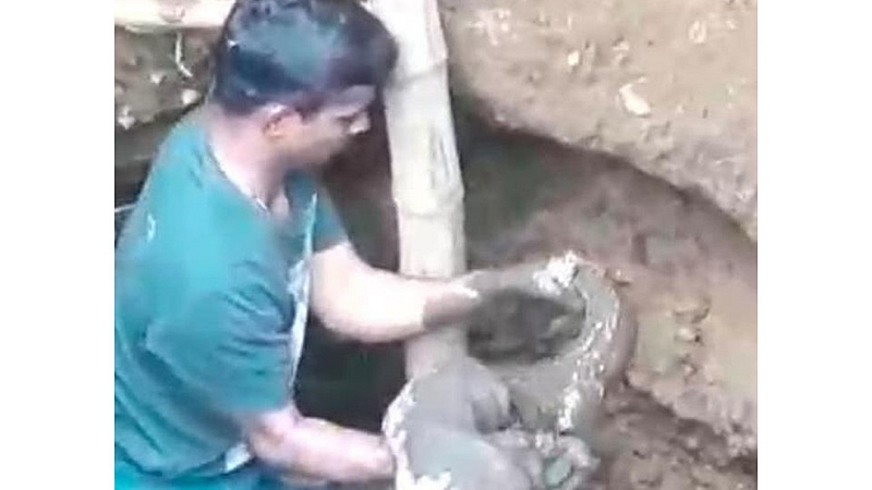crocodile giving life top in Chiplun state kokan marathi news