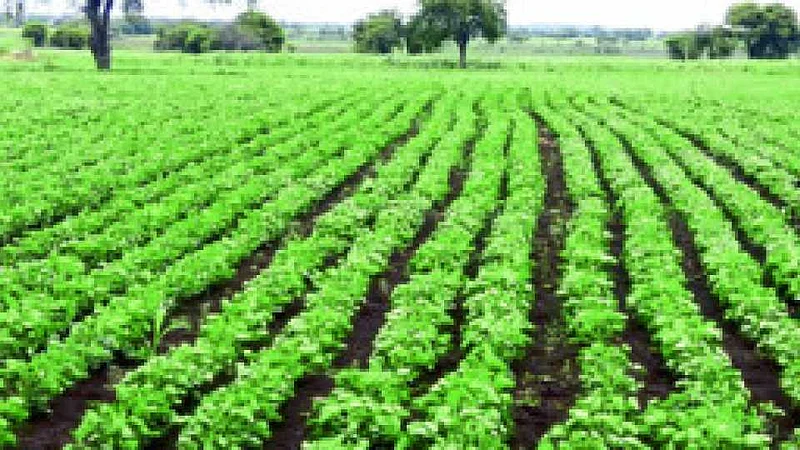 akola Restructured weather based crop insurance for soybean, cotton, urad, sorghum, tur, green gram crops