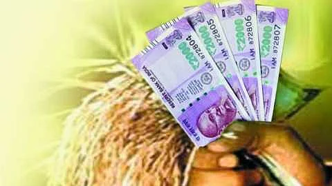 crop loan.