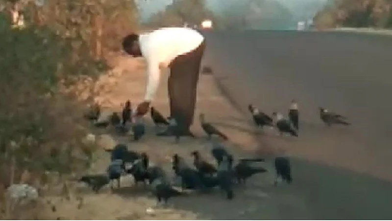 crows gather when rahimbhai blow horn in ner of yavatmal