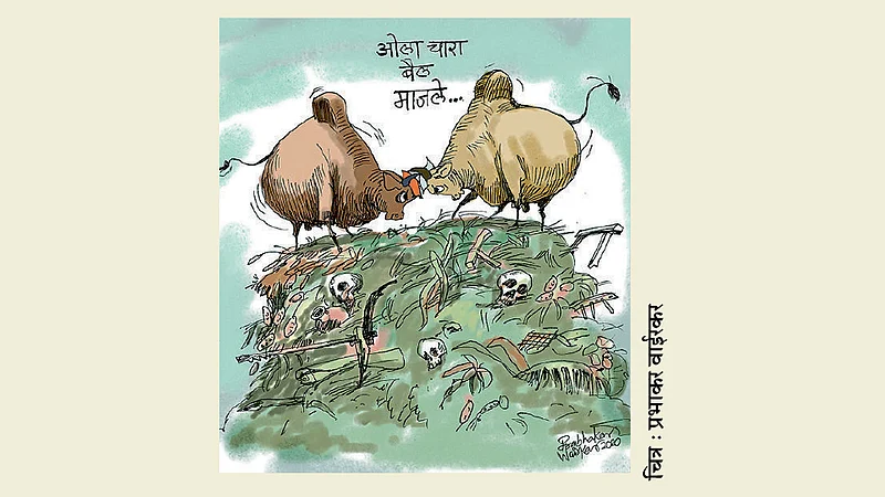 ढिंग टांग : बांधावरचे अभंग!