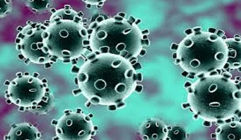 coronavirus security all people in ratnagiri kokan marathi news