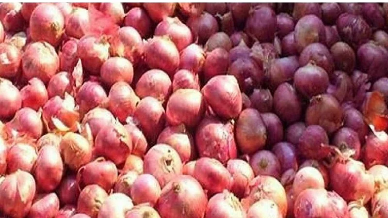 onion market started in in Atpadi sangli farming marathi news