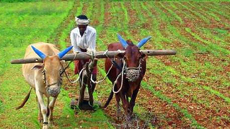 related to farming policy online reporting to directly to officers in ratnagiri the new pattern in konkan