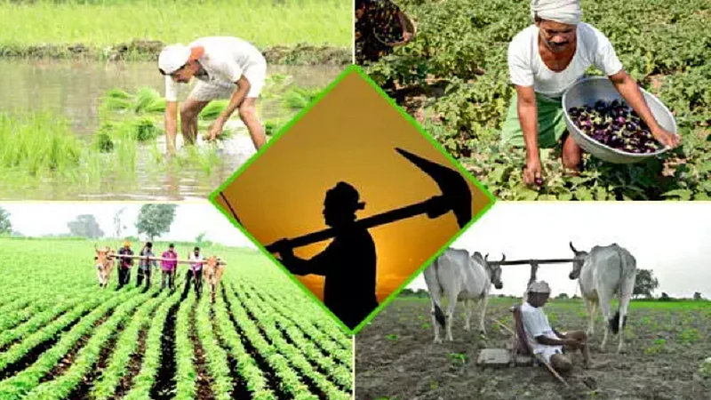farmer.png